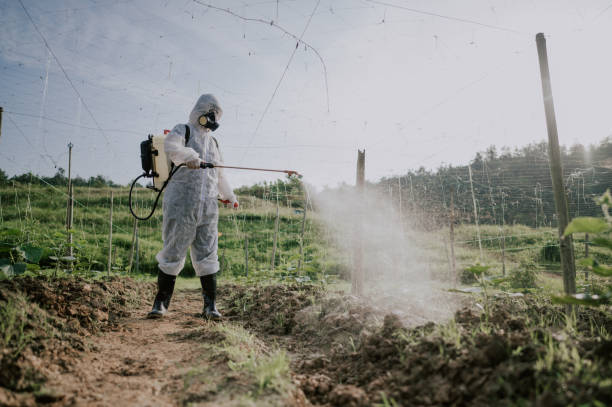 Pest Control Cost in Anderson, CA